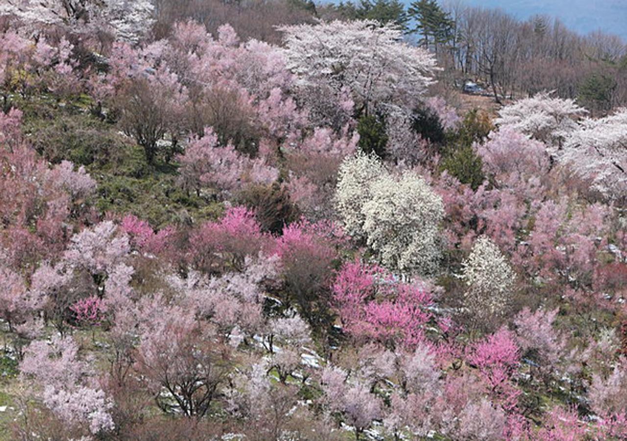 土湯温泉 やすらぎの宿 向瀧旅館 Fukushima  Eksteriør bilde